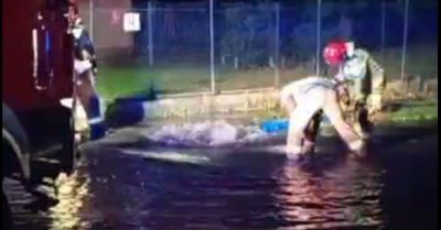 Kierowca bez uprawnień uderzył w hydrant